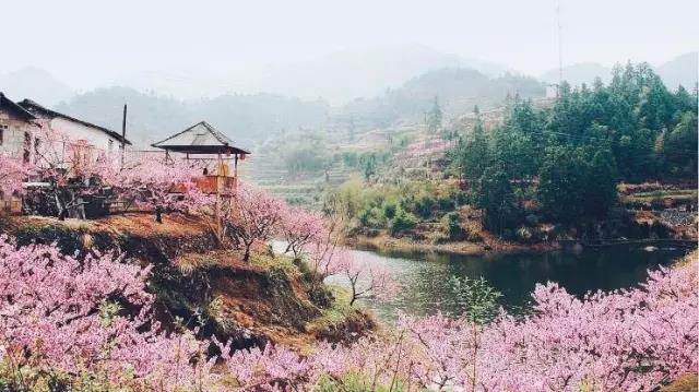 中國(guó)的桃花源和西方的烏托邦，是全人類(lèi)的精神遺產(chǎn)